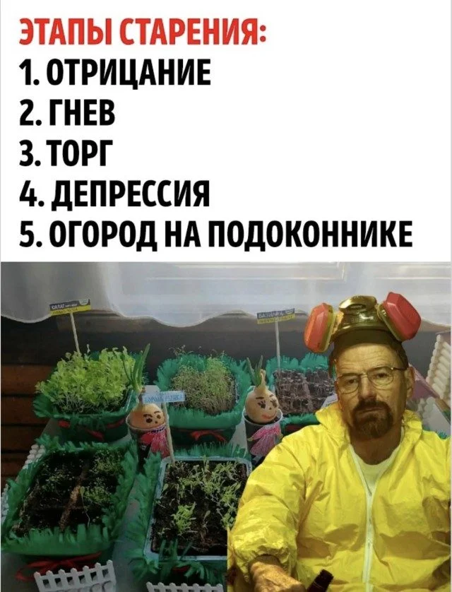 Мир сошёл с ума: подборка мемов о реальности, которая пошла не так Мир сошёл с ума: подборка мемов о реальности, которая пошла не так мемы, приколы, юмор, картинки, реальность, альтернативная вселенная