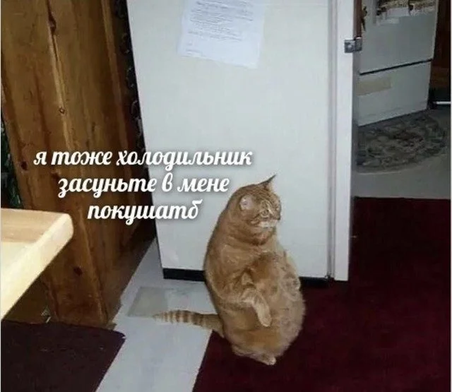 Мир сошёл с ума: подборка мемов о реальности, которая пошла не так