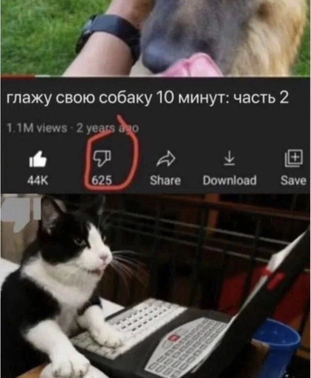 Мир сошёл с ума: подборка мемов о реальности, которая пошла не так Мир сошёл с ума: подборка мемов о реальности, которая пошла не так мемы, приколы, юмор, картинки, реальность, альтернативная вселенная