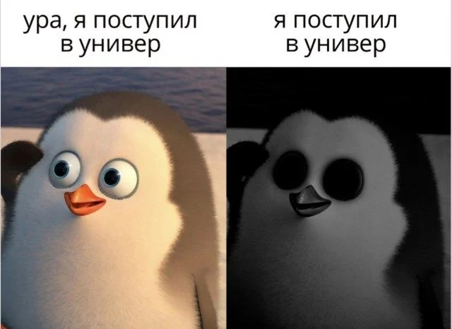 Мир сошёл с ума: подборка мемов о реальности, которая пошла не так Мир сошёл с ума: подборка мемов о реальности, которая пошла не так мемы, приколы, юмор, картинки, реальность, альтернативная вселенная