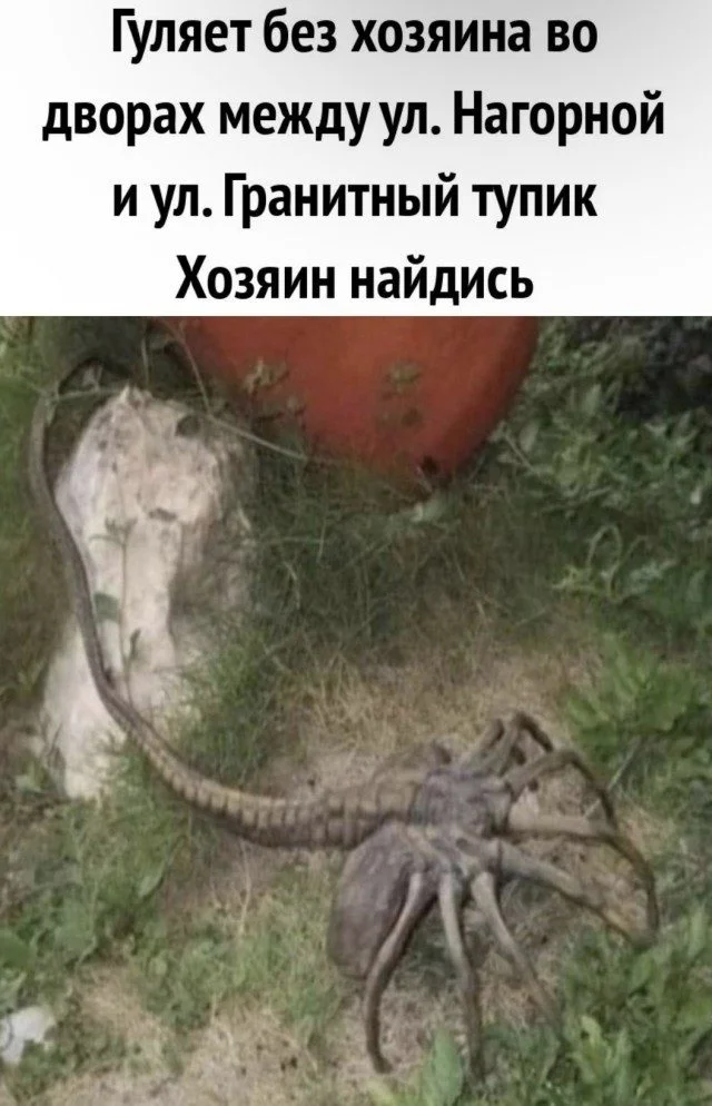 Точные попадания в ваши мысли Точные попадания в ваши мысли подборка, картинки, совпадения