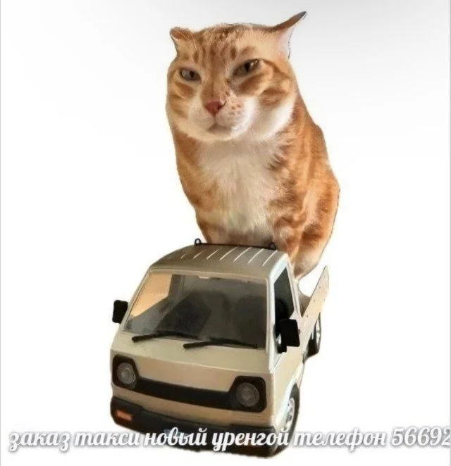Точные попадания в ваши мысли Точные попадания в ваши мысли подборка, картинки, совпадения