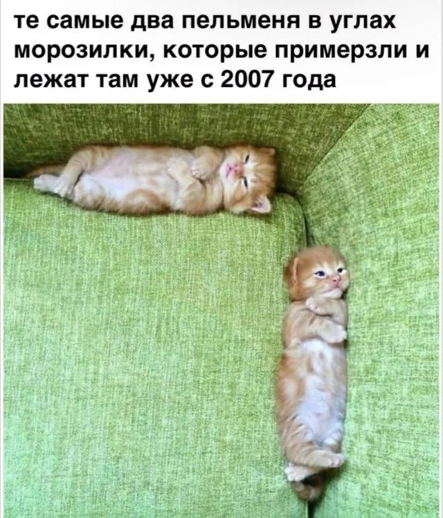 Точные попадания в ваши мысли Точные попадания в ваши мысли подборка, картинки, совпадения