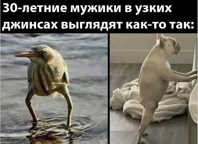 Точные попадания в ваши мысли Точные попадания в ваши мысли подборка, картинки, совпадения