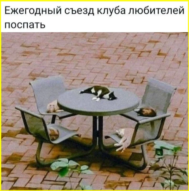 Песок в кроссовках: вечные летние проблемы в мемах