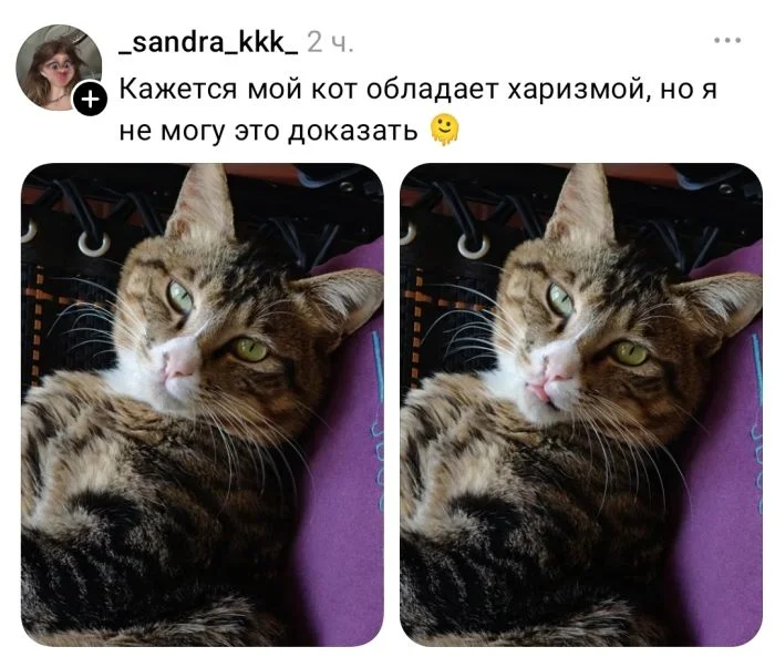 Просыпаемся с улыбкой: убойная порция мемов мемы, приколы, утро, настроение, юмор, подборка