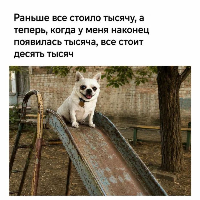 Просыпаемся с улыбкой: убойная порция мемов мемы, приколы, утро, настроение, юмор, подборка