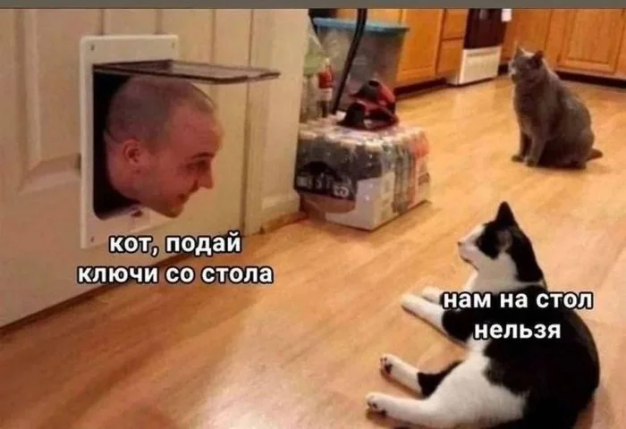 Просыпаемся с улыбкой: убойная порция мемов мемы, приколы, утро, настроение, юмор, подборка
