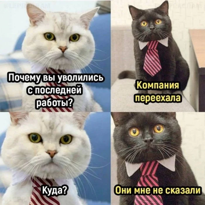 Просыпаемся с улыбкой: убойная порция мемов мемы, приколы, утро, настроение, юмор, подборка