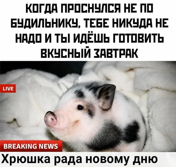 Мемная зарядка на вторник: угарные картинки дня мемы, приколы, юмор, подборка, август