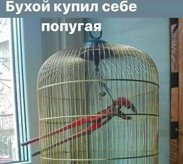 Мемная зарядка на вторник: угарные картинки дня мемы, приколы, юмор, подборка, август