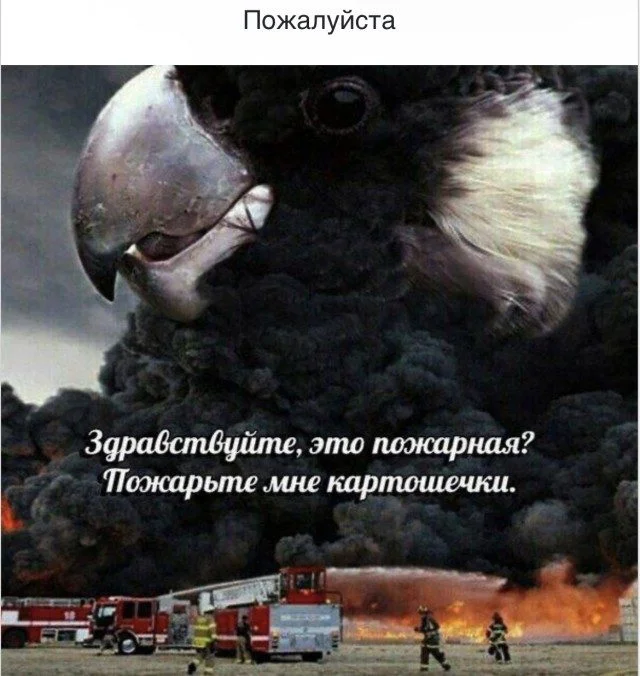 Мемный хаос: просто посмейся Мемный хаос: просто посмейся мемы, приколы, подборка, юмор