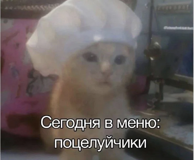 Мемный хаос: просто посмейся Мемный хаос: просто посмейся мемы, приколы, подборка, юмор