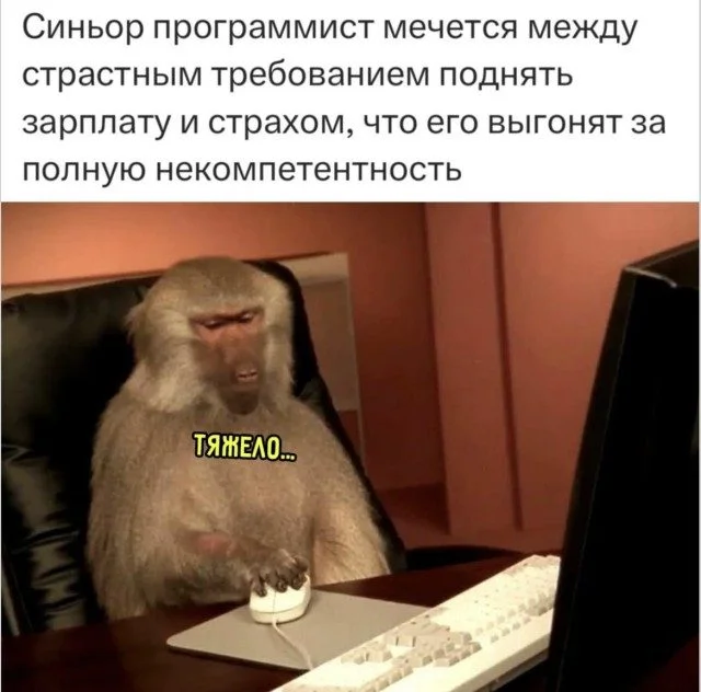 Бесконтрольный хохот: 15 кадров, которые заразят позитивом Бесконтрольный хохот: 15 кадров, которые заразят позитивом приколы, подборка, картинки, настроение, юмор