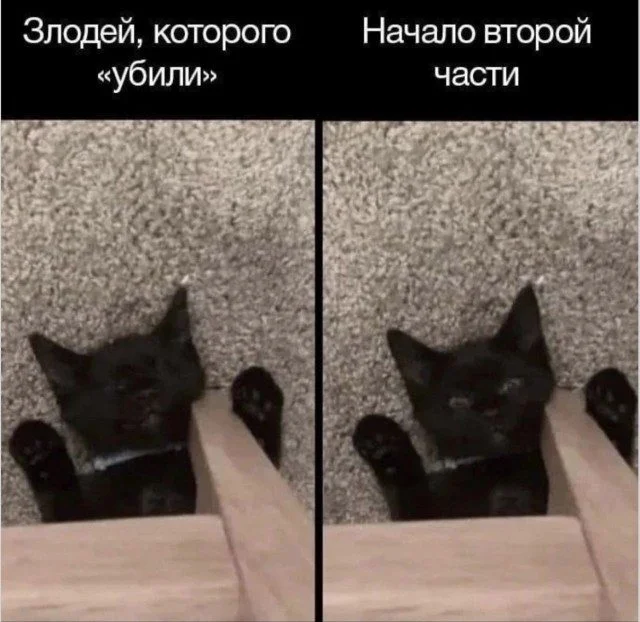 Бесконтрольный хохот: 15 кадров, которые заразят позитивом Бесконтрольный хохот: 15 кадров, которые заразят позитивом приколы, подборка, картинки, настроение, юмор