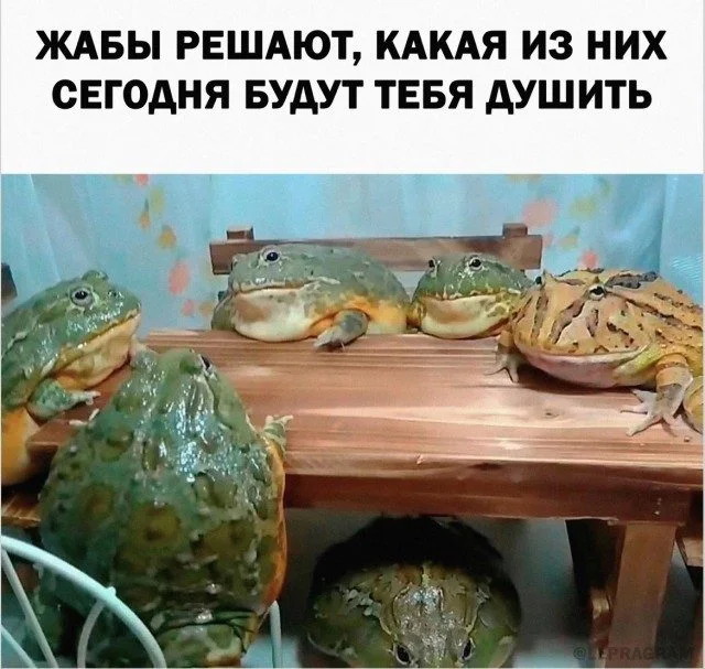Смех без тормозов: угарная подборка приколы, мемы, смешное, подборка