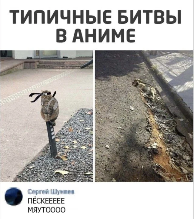 Смех без тормозов: угарная подборка приколы, мемы, смешное, подборка