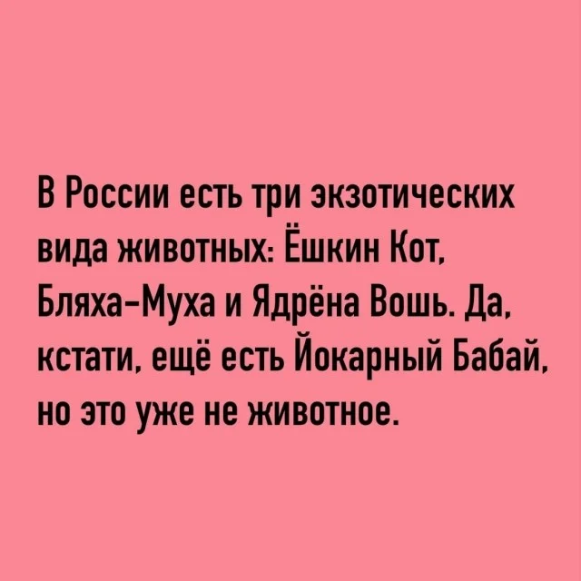 Смешные картинки на среду: подборка мемов, чтобы не унывать на работе Смешные картинки на среду: подборка мемов, чтобы не унывать на работе мемы, среда, приколы, картинки, подборка, настроение, работа, юмор, смешное