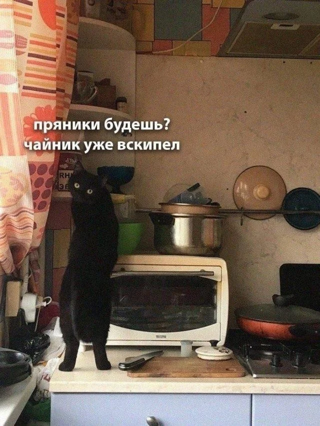 Смешные картинки на среду: подборка мемов, чтобы не унывать на работе Смешные картинки на среду: подборка мемов, чтобы не унывать на работе мемы, среда, приколы, картинки, подборка, настроение, работа, юмор, смешное