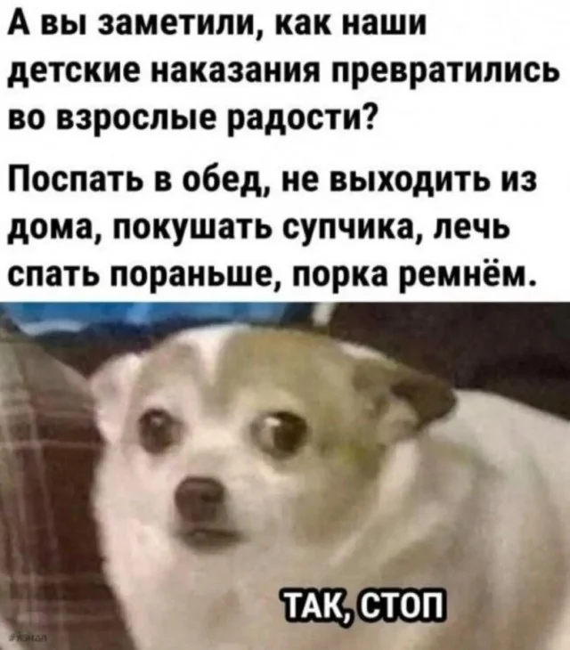 Смешные картинки на среду: подборка мемов, чтобы не унывать на работе Смешные картинки на среду: подборка мемов, чтобы не унывать на работе мемы, среда, приколы, картинки, подборка, настроение, работа, юмор, смешное