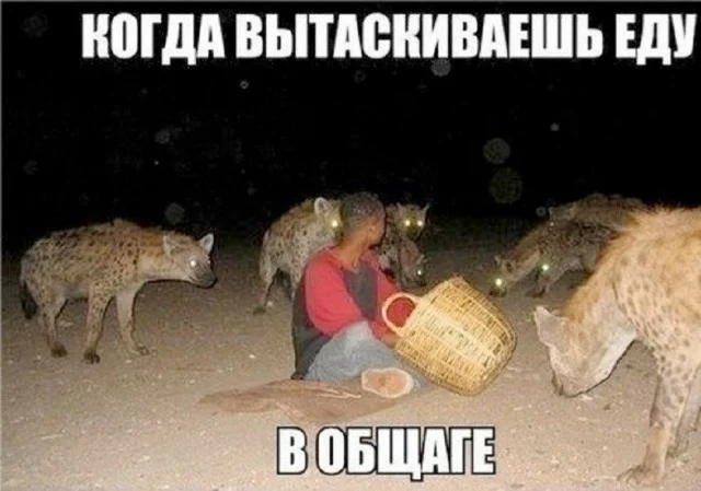 Смешные картинки на среду: подборка мемов, чтобы не унывать на работе Смешные картинки на среду: подборка мемов, чтобы не унывать на работе мемы, среда, приколы, картинки, подборка, настроение, работа, юмор, смешное