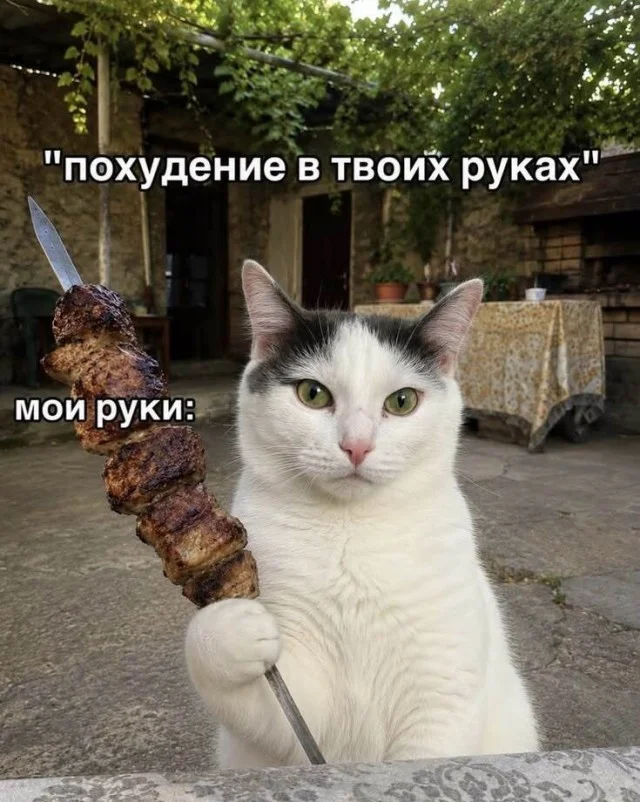 Смешные картинки на среду: подборка мемов, чтобы не унывать на работе Смешные картинки на среду: подборка мемов, чтобы не унывать на работе мемы, среда, приколы, картинки, подборка, настроение, работа, юмор, смешное
