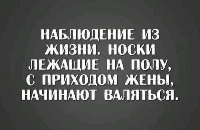 Смешные картинки на среду: подборка мемов, чтобы не унывать на работе Смешные картинки на среду: подборка мемов, чтобы не унывать на работе мемы, среда, приколы, картинки, подборка, настроение, работа, юмор, смешное