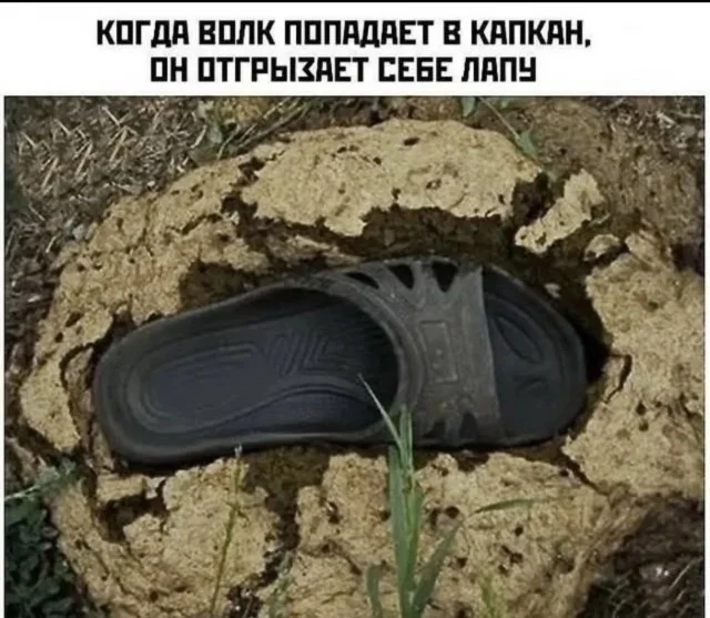 Смешные картинки на среду: подборка мемов, чтобы не унывать на работе Смешные картинки на среду: подборка мемов, чтобы не унывать на работе мемы, среда, приколы, картинки, подборка, настроение, работа, юмор, смешное