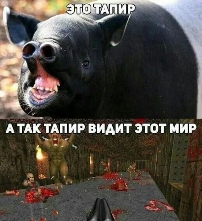 Среда — время для смеха: угарная подборка мемов Среда — время для смеха: угарная подборка мемов юмор, мемы, приколы, среда, подборка