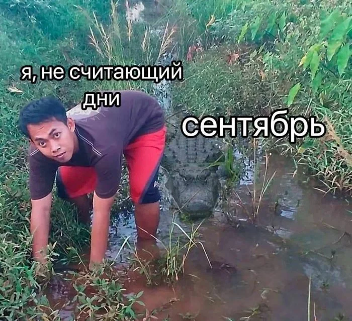 Среда — время для смеха: угарная подборка мемов Среда — время для смеха: угарная подборка мемов юмор, мемы, приколы, среда, подборка