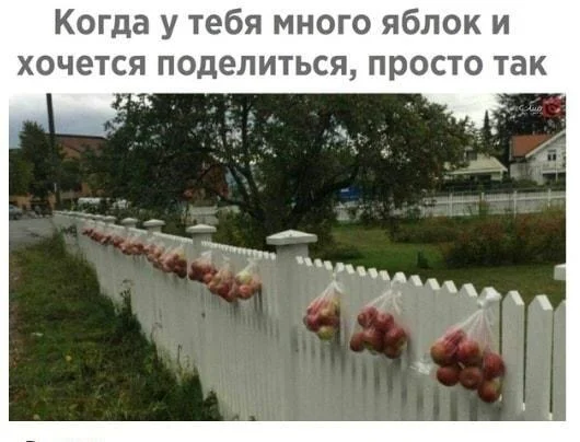 Сочный юмор: мемы про яблоки яблоки, мемы, приколы, яблочный спас, юмор, картинки