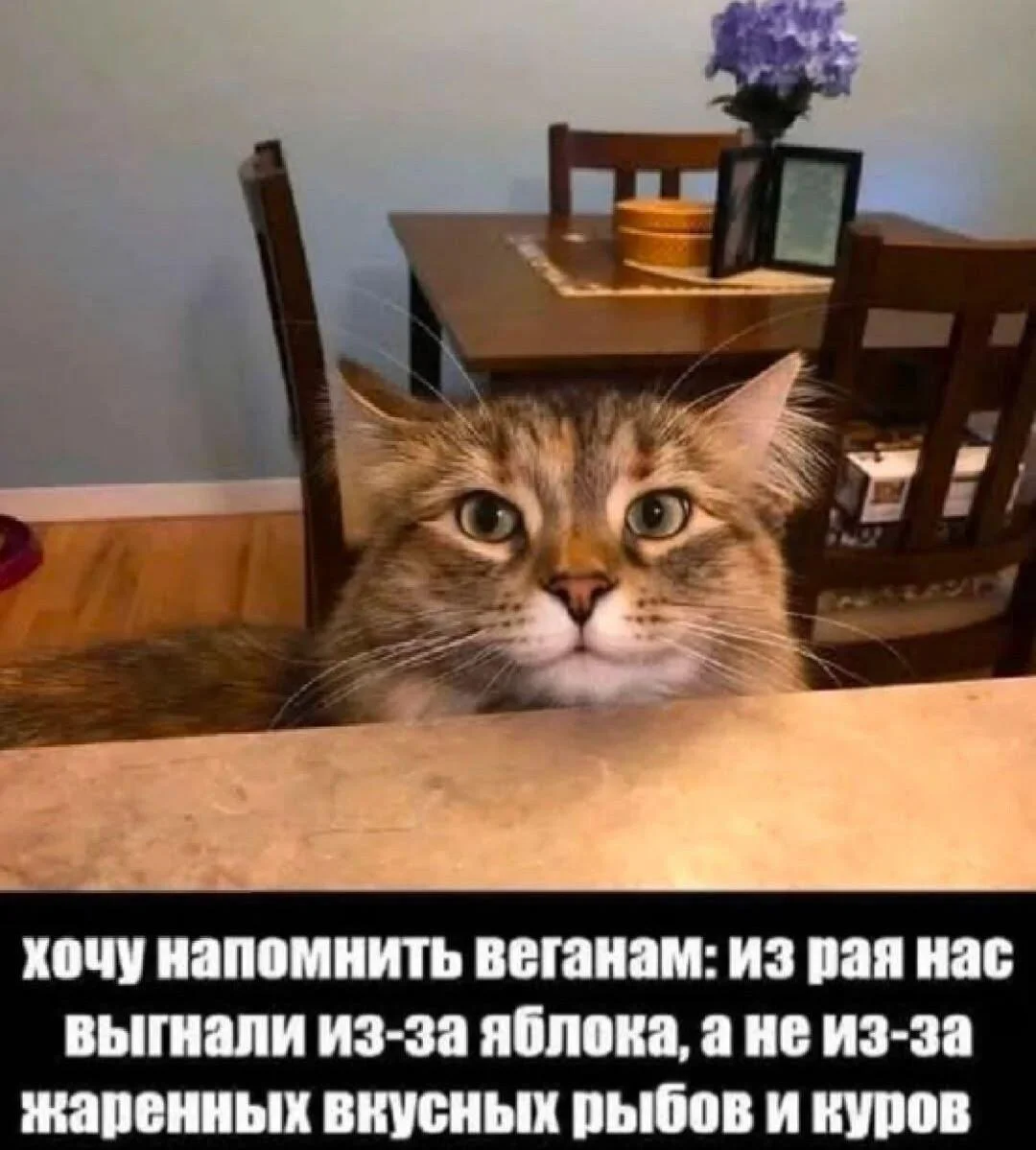 Сочный юмор: мемы про яблоки яблоки, мемы, приколы, яблочный спас, юмор, картинки