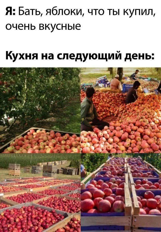 Сочный юмор: мемы про яблоки яблоки, мемы, приколы, яблочный спас, юмор, картинки