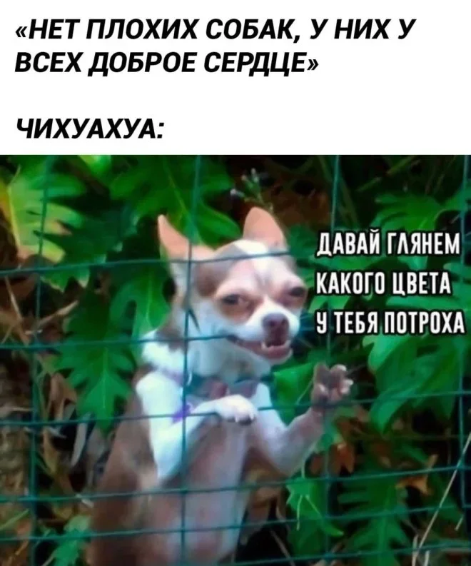 Свежие мемы: когда уборка и гармошка — главные герои дня мемы, приколы, юмор, подборка