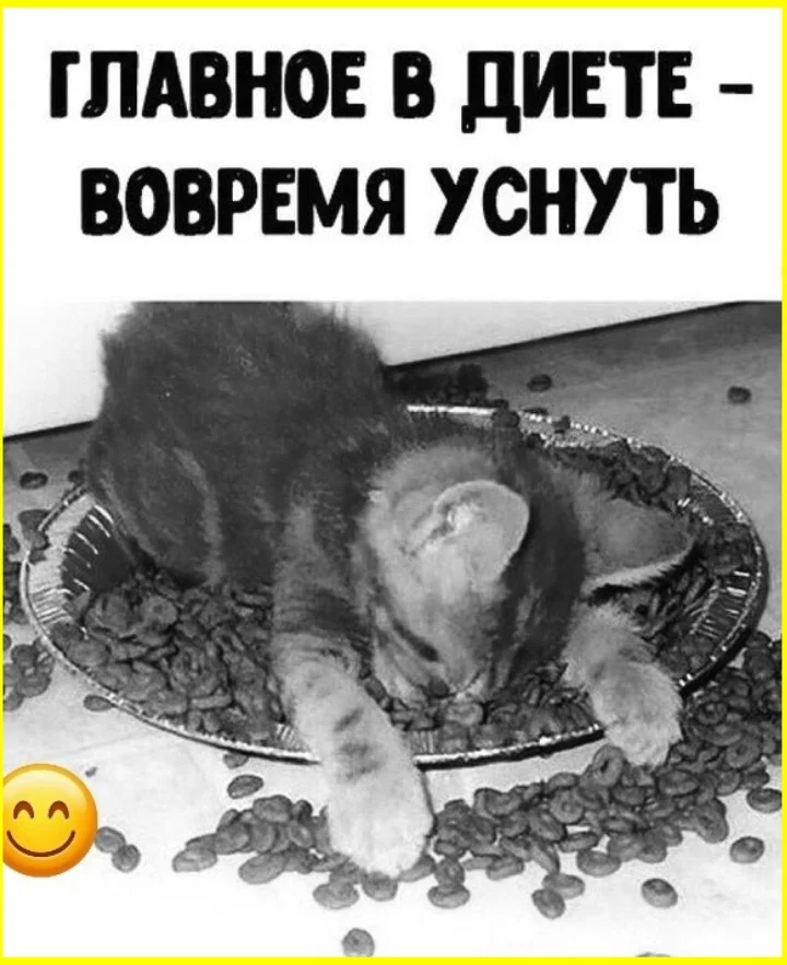 7 раз, когда депутаты наглядно опровергли физику депутаты, физика, мемы, приколы, политика, подборка