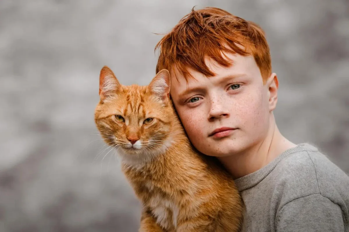Уморительные коты-триумфаторы: лучшие кадры Pet Photography Awards-2026 коты, животные, фотоконкурс, смешное, подборка