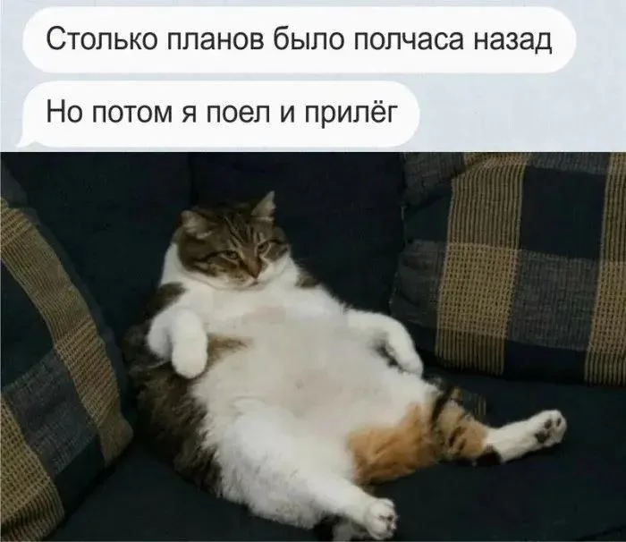 Праздник лени: угарные мемы и приколы мемы, приколы, лень, подборка, картинки