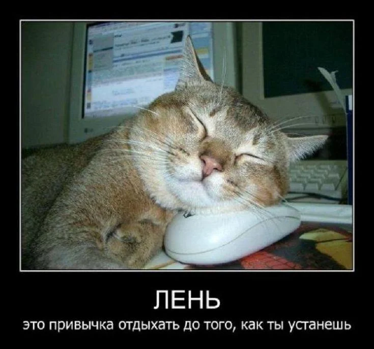 Праздник лени: угарные мемы и приколы мемы, приколы, лень, подборка, картинки