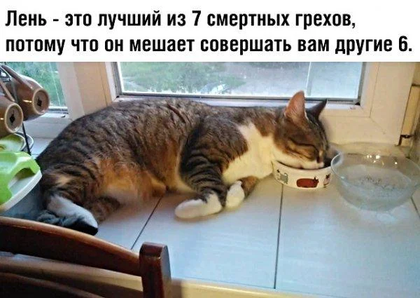 Праздник лени: угарные мемы и приколы мемы, приколы, лень, подборка, картинки