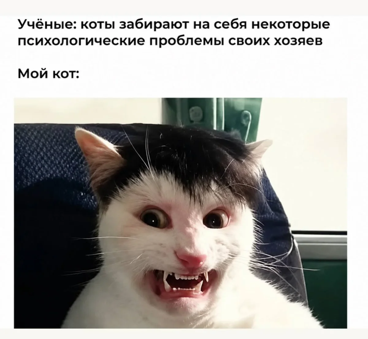 Пятница уже близко: убойная подборка мемов дня Пятница уже близко: убойная подборка мемов дня юмор, мемы, приколы, подборка, картинки