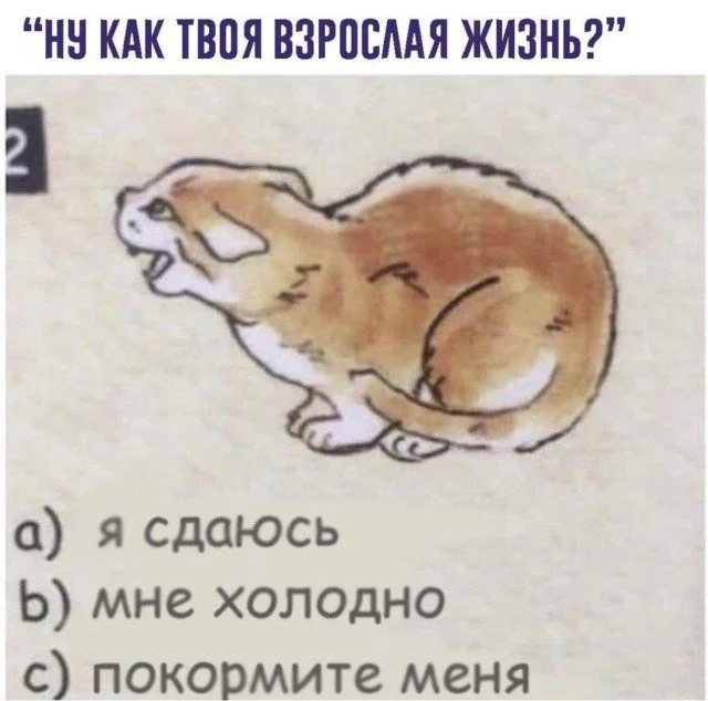 Узнали себя? Смешные мемы о нашей жизни мемы, приколы, подборка, жизненное