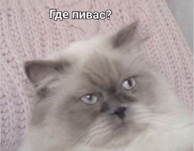 Узнали себя? Смешные мемы о нашей жизни мемы, приколы, подборка, жизненное