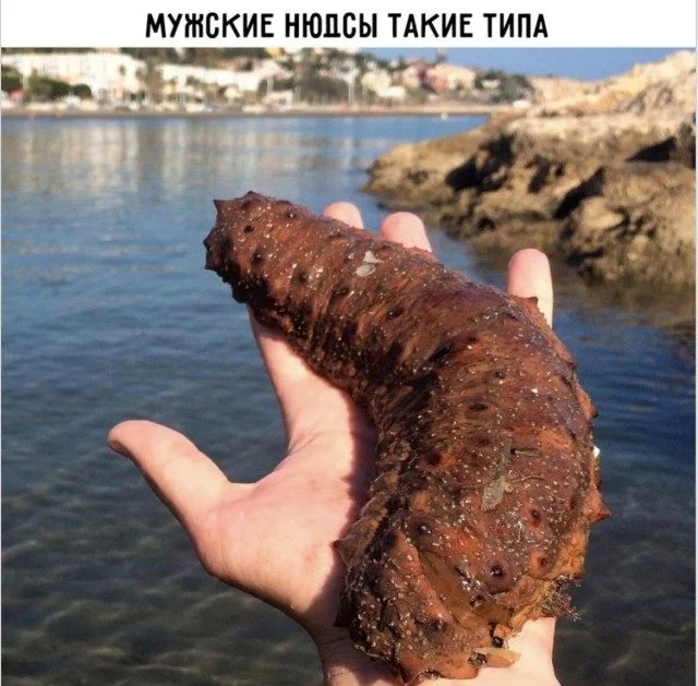 Узнали себя? Смешные мемы о нашей жизни мемы, приколы, подборка, жизненное
