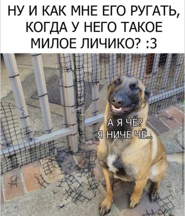 Узнали себя? Смешные мемы о нашей жизни мемы, приколы, подборка, жизненное
