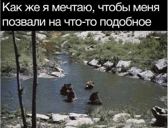 Абсурд вечера: просто мемы мемы, приколы, абсурд, юмор, подборка
