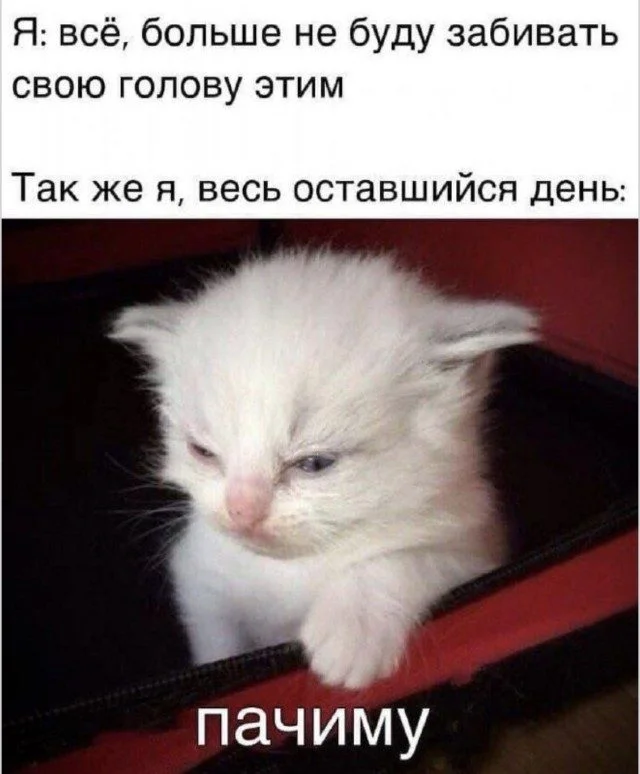 Абсурд вечера: просто мемы мемы, приколы, абсурд, юмор, подборка