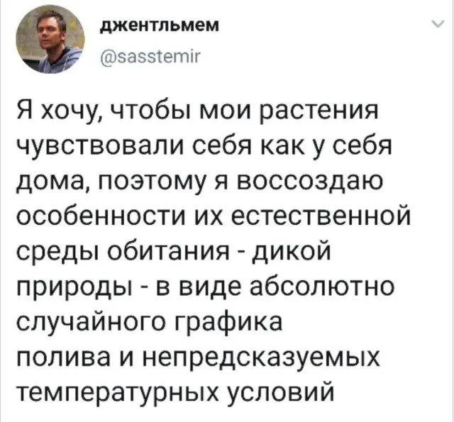 Абсурд вечера: просто мемы мемы, приколы, абсурд, юмор, подборка