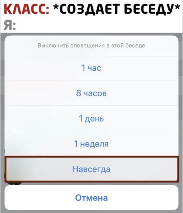 Абсурд вечера: просто мемы мемы, приколы, абсурд, юмор, подборка