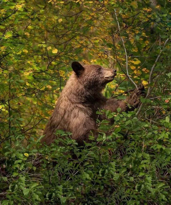 17 фото, которые случайно стали шедеврами Ренессанса 17 фото, которые случайно стали шедеврами Ренессанса фото, ренессанс, искусство, подборка, случайность