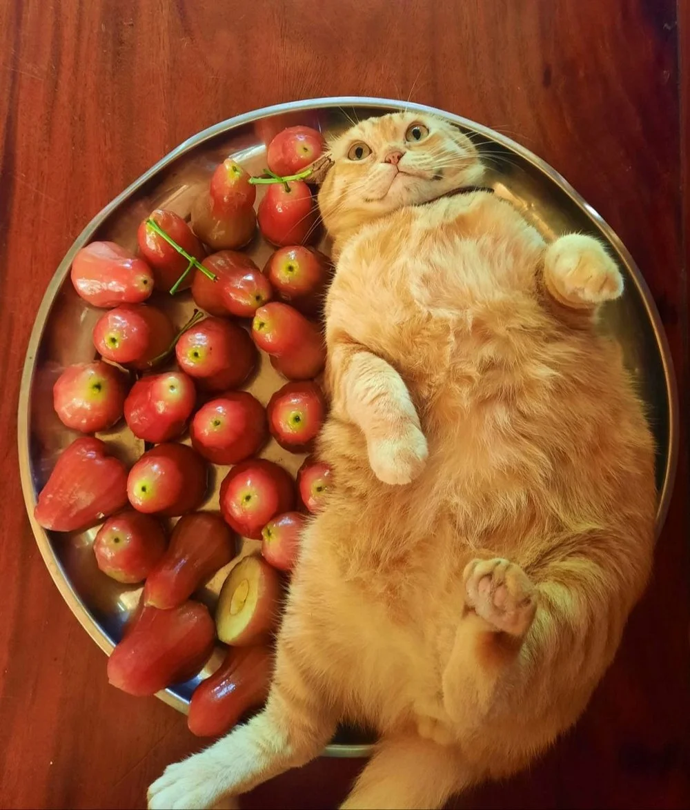 Пятничный вайб: мемы, которые развеселят пятница, юмор, мемы, приколы, настроение